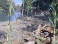 sponde fiume