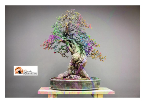 1 Maggio, la 48ª edizione della Mostra del Fiore-Florviva