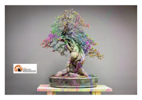 1 Maggio, la 48ª edizione della Mostra del Fiore-Florviva
