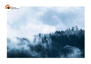 Si perde in un parco negli Usa, bimbo sopravvive mangiando neve