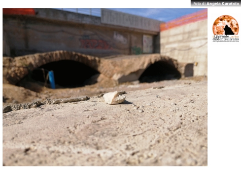Pescara/DUP. Ex campo Rampigna diventa parco archeologico