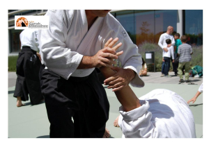 Montesilvano. Campionati Europei di Shuai Jiao - antichissima arte marziale cinese