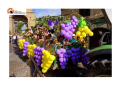 Atri torna la Festa dell’Uva con la sfilata dei carri, tour guidati, degustazioni e musica