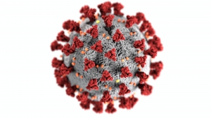 Coronavirus/Italia, 87 i pazienti ricoverati in terapia intensiva