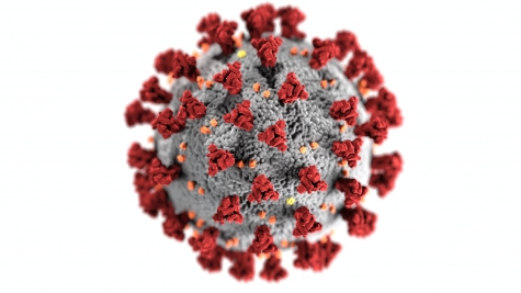 Coronavirus/Italia, 87 i pazienti ricoverati in terapia intensiva