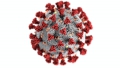 Coronavirus/Italia, 87 i pazienti ricoverati in terapia intensiva