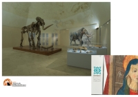 L'Aquila, domenica ultima apertura straordinaria estiva Mammut nel Castello cinquecentesco