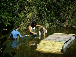 Montesilvano, centro di raccolta per 40 tartarughe al Parco della Libertà