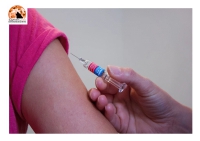 Vaccino Covid. L'Ema dà il via libera alla terza dose di Pfizer per gli over 18