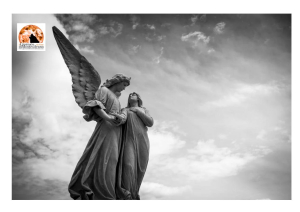 Nella Basilica Concattedrale di Atri il Requiem di Mozart