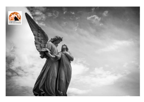 Nella Basilica Concattedrale di Atri il Requiem di Mozart