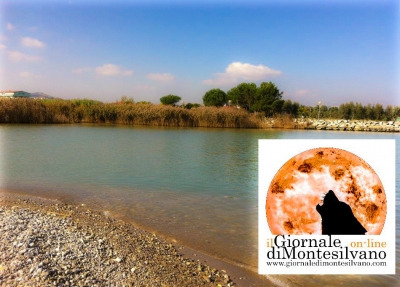 Montesilvano/capriolo ucciso. Di Stefano: "quale futuro per il Saline?"