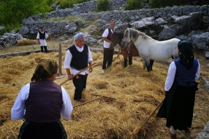 Trebbiatura, rievocazione a Collepietro di Mosciano Sant'Angelo