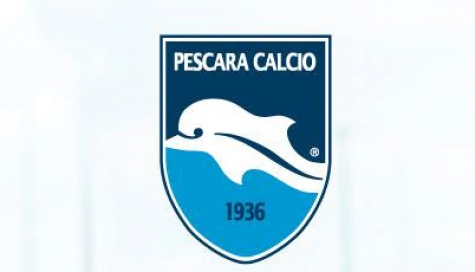 il simbolo del Pecara delfino