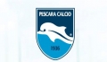 il simbolo del Pecara delfino