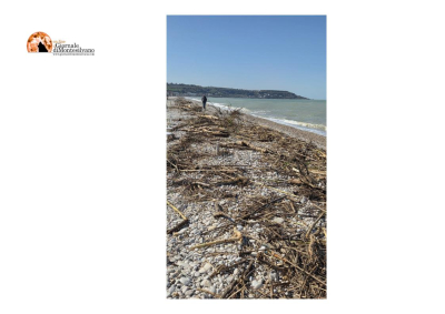 Maltempo/alberi sulla spiaggia di Fossacesia, al via pulizia straordinaria e cittadini autorizzati a raccogliere la legna