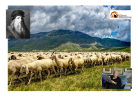 Le vie della pastorizia, tra Abruzzo e Puglia, e l’arte della lana che portò Leonardo a L’Aquila