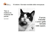 18 ottobre. Felicette, l'unica gatta nello Spazio
