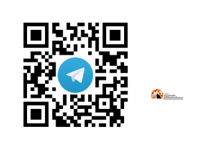 Montesilvano. Ecco i canali ufficiali WhatsApp e Telegram del Comune
