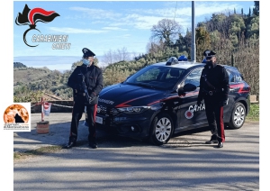 San Giovanni Teatino, trova ladro in casa, lo riconosce nelle foto segnaletiche.