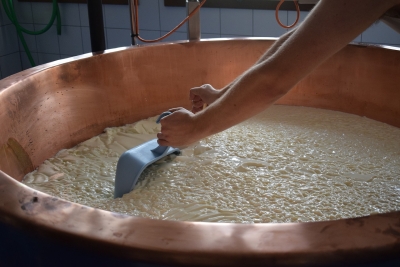 Montesilvano/formaggio, laboratori e degustazioni con Voglia di Mare