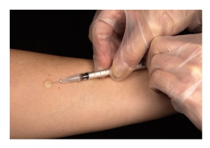 Abruzzo/Covid. 3994 persone vaccinate