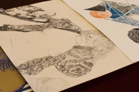 Le illustrazioni presentate in conferenza stampa