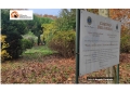 Montesilvano, affidato il Parco della Libertà