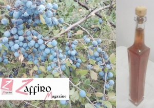 liquore e pianta del prugnolo