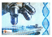 Mostro di Firenze. Dna sconosciuto sulla scena dell'ultimo delitto.