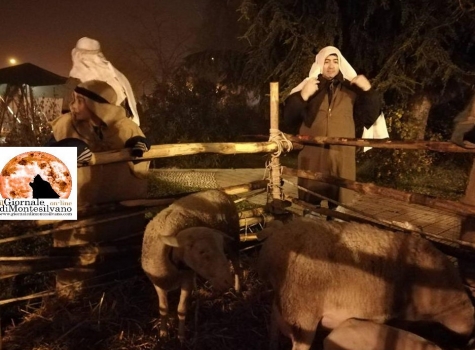 Le pecore della rappresentazione