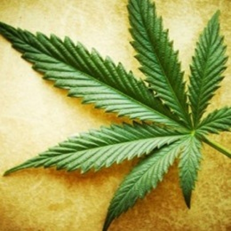 Cannabis/legalizzazione.Pedicini  &quot;Incompetenza Lorenzin&quot;