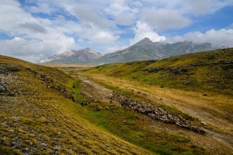 Iran e Italia. All’Aurum di Pescara la mostra “Popoli e terre della lana.”