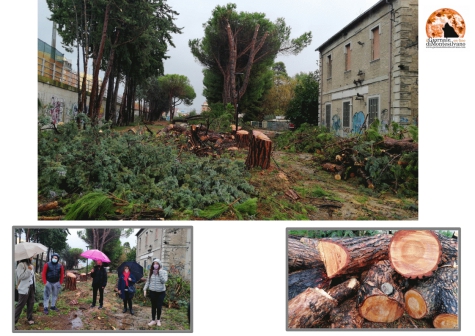 ecco la scena che si presenta oggi, gli attivisti, Paola Ballarini, Arch Di Giampietro