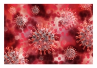 Coronavirus, in Italia 163 nuovi casi e 13 morti