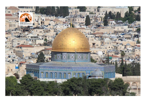Riconoscimento condizionato della Palestina: sfida diplomatica e politica per l’Italia