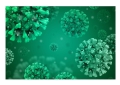 Coronavirus: da due settimane aumento dei casi in tutta l'Italia.