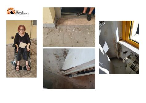 Pescara. Degrado, guano e muffa, disabile chiede trasferimento in altra casa Ater