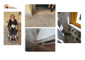 Pescara. Degrado, guano e muffa, disabile chiede trasferimento in altra casa Ater