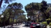 Pescara/Dehors, sì all'ampliamento su via Regina Margherita e via Regina Elena.