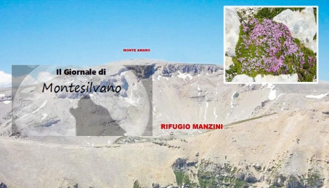 Il percorso e il fiori Silene