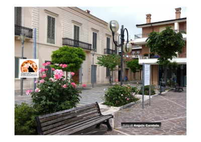 Roseto degli Abruzzi/bonus edilizi truffa ai danni dello Stato per oltre 24,5 milioni di euro