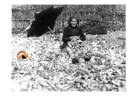 L’Abruzzo in uno sguardo: memorie fotografiche tra storia e territorio al Museo delle Genti d’Abruzzo