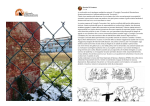 Montesilvano, il voto sul nuovo supermercato di via Ruffilli crea dissidi in maggioranza.