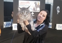 QuattroZampexpo: un weekend dedicato agli amanti degli animali