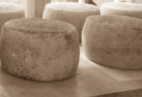 Farindola. Pecorino &amp; pecorini, viaggio nel formaggio con l'app