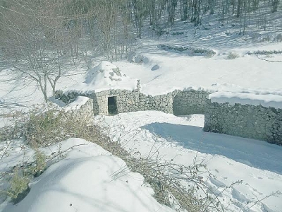 Tholos 