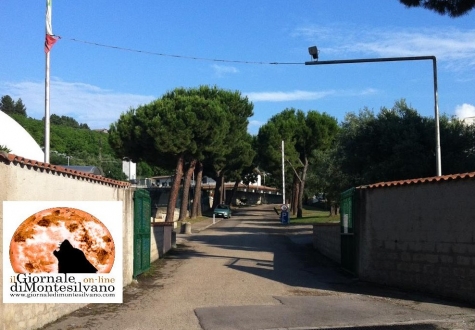 immagine repertorio