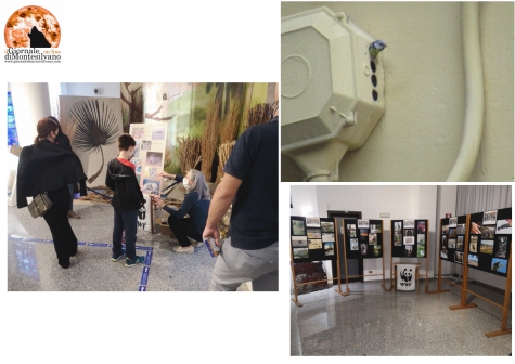 “Urban Nature – Festa della Natura in città”, i vincitori