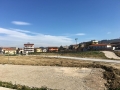 Marinucci mette alberi al posto degli appartamenti